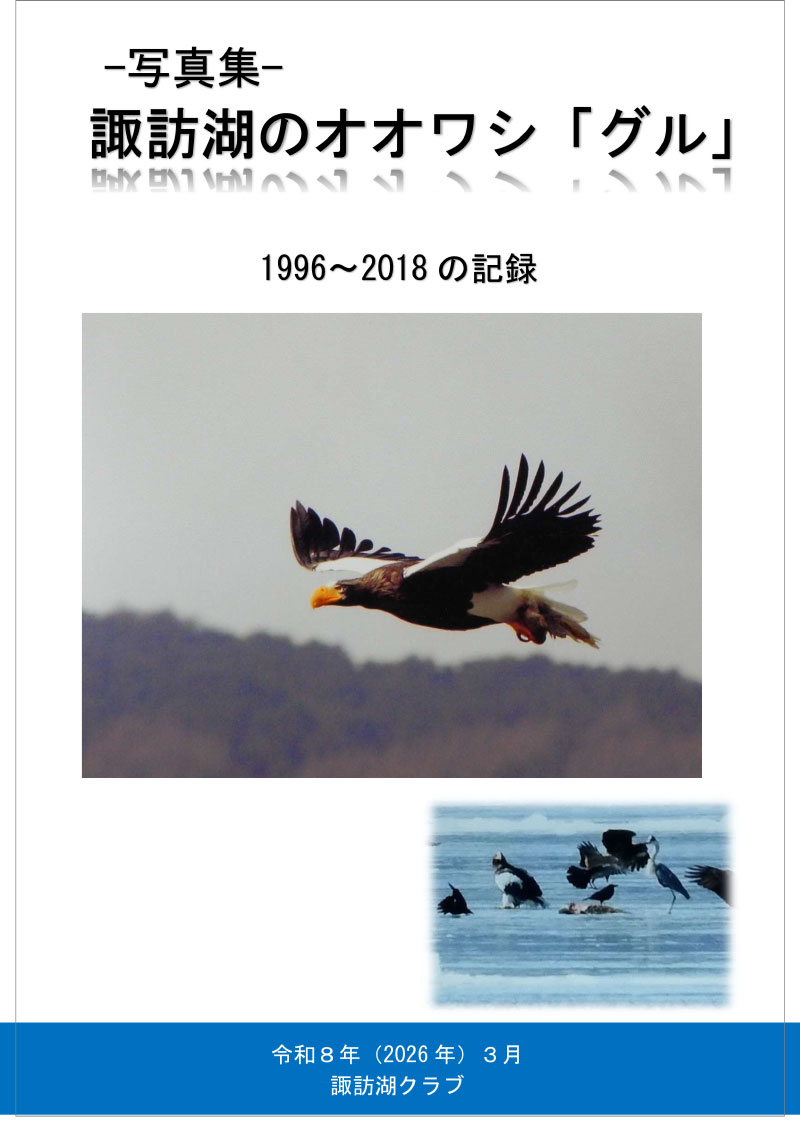 写真集 諏訪湖のオオワシ「グル」